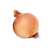 oignon