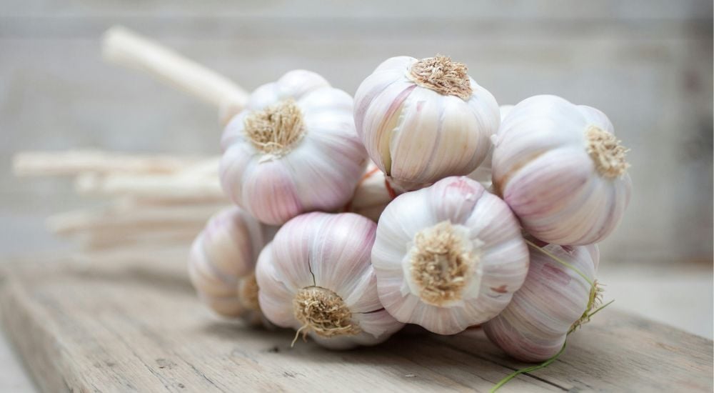 2. Ail : un allié naturel contre les infections