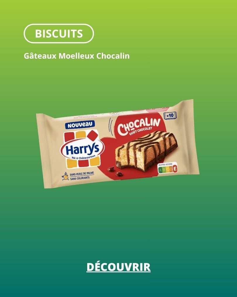 biscuit