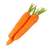 carottes