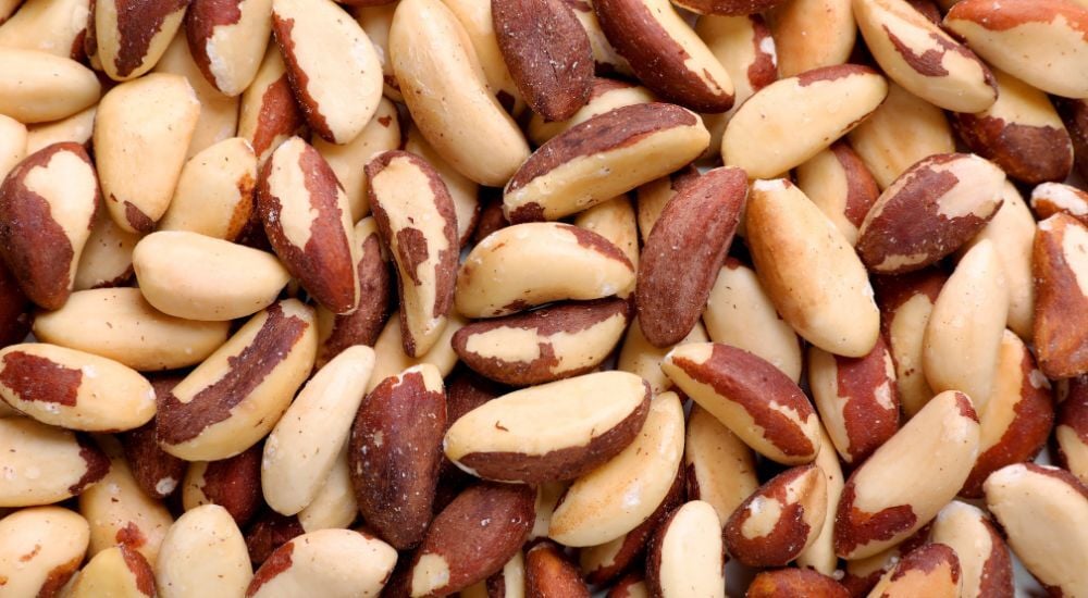 Connaissez-vous la noix du brésil ? Une noix pleine de nutriments !