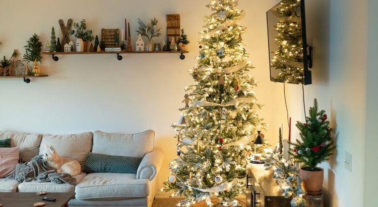 2. Le sapin de Noël