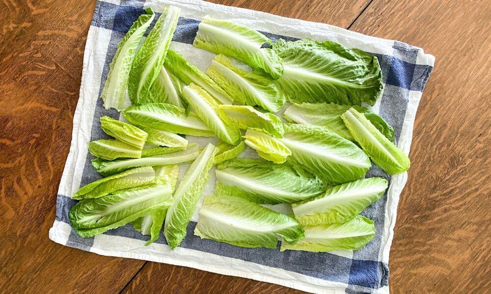 Toutes les techniques pour conserver la salade plus longtemps