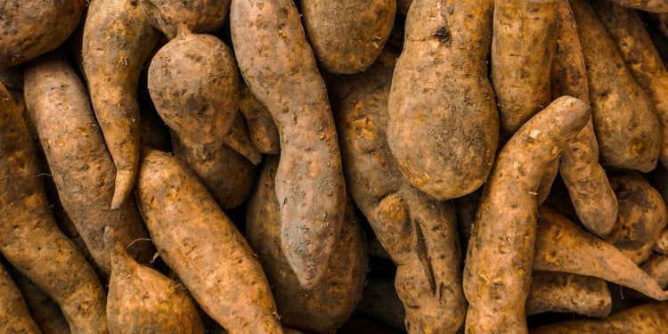 tout-savoir-patate-douce